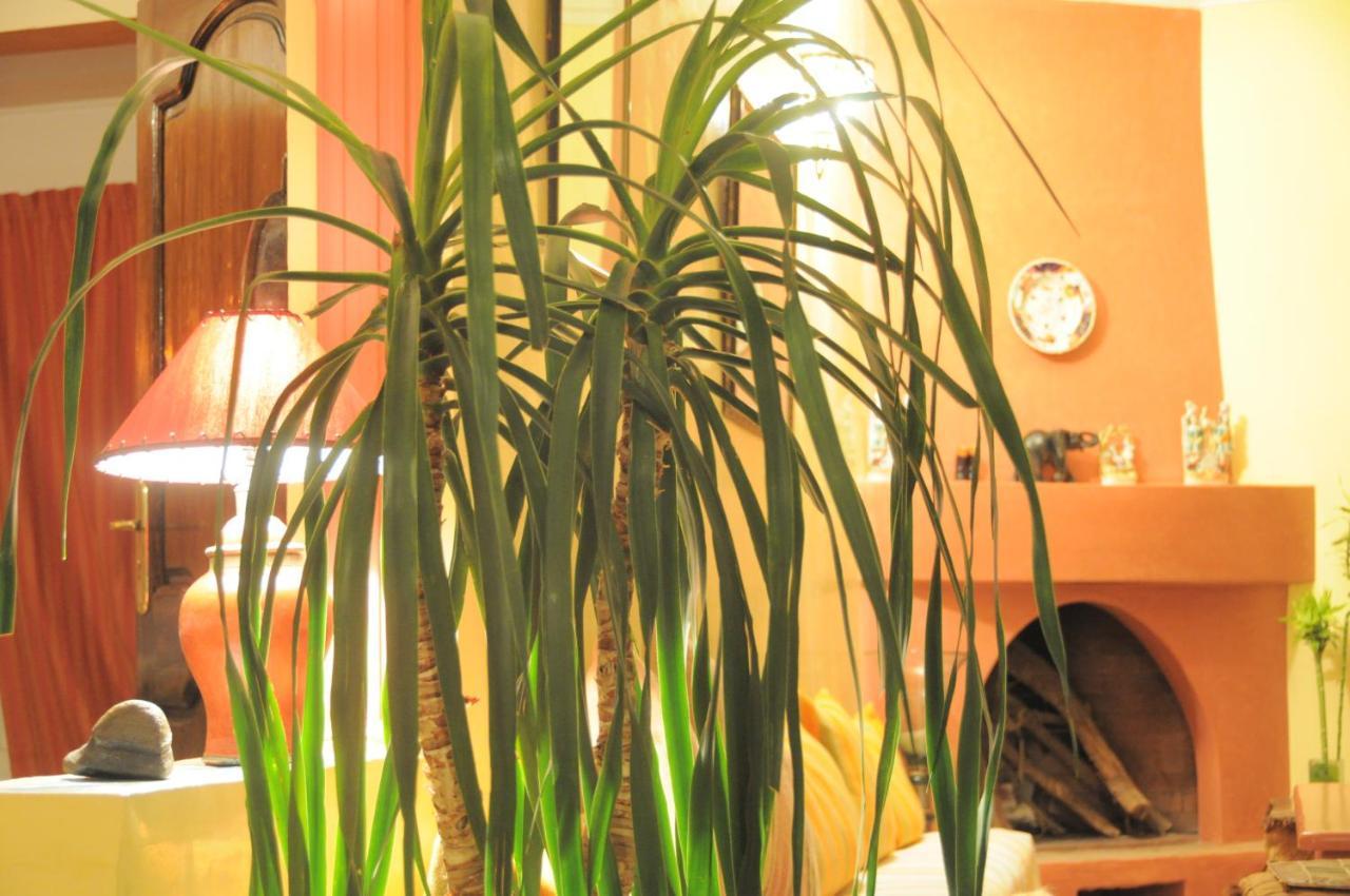 Sallys Bed & Breakfast Mirleft