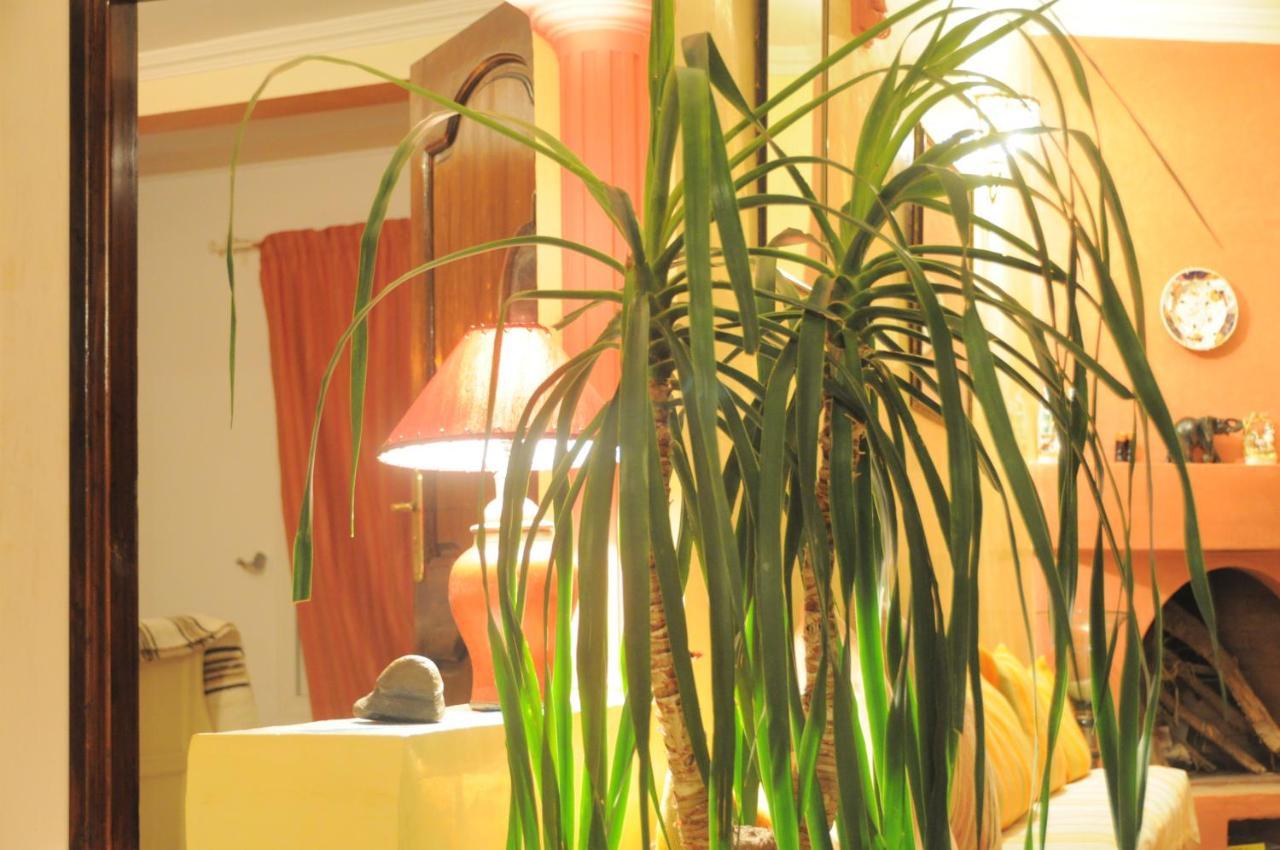 Bed & Breakfast Sallys Mirleft